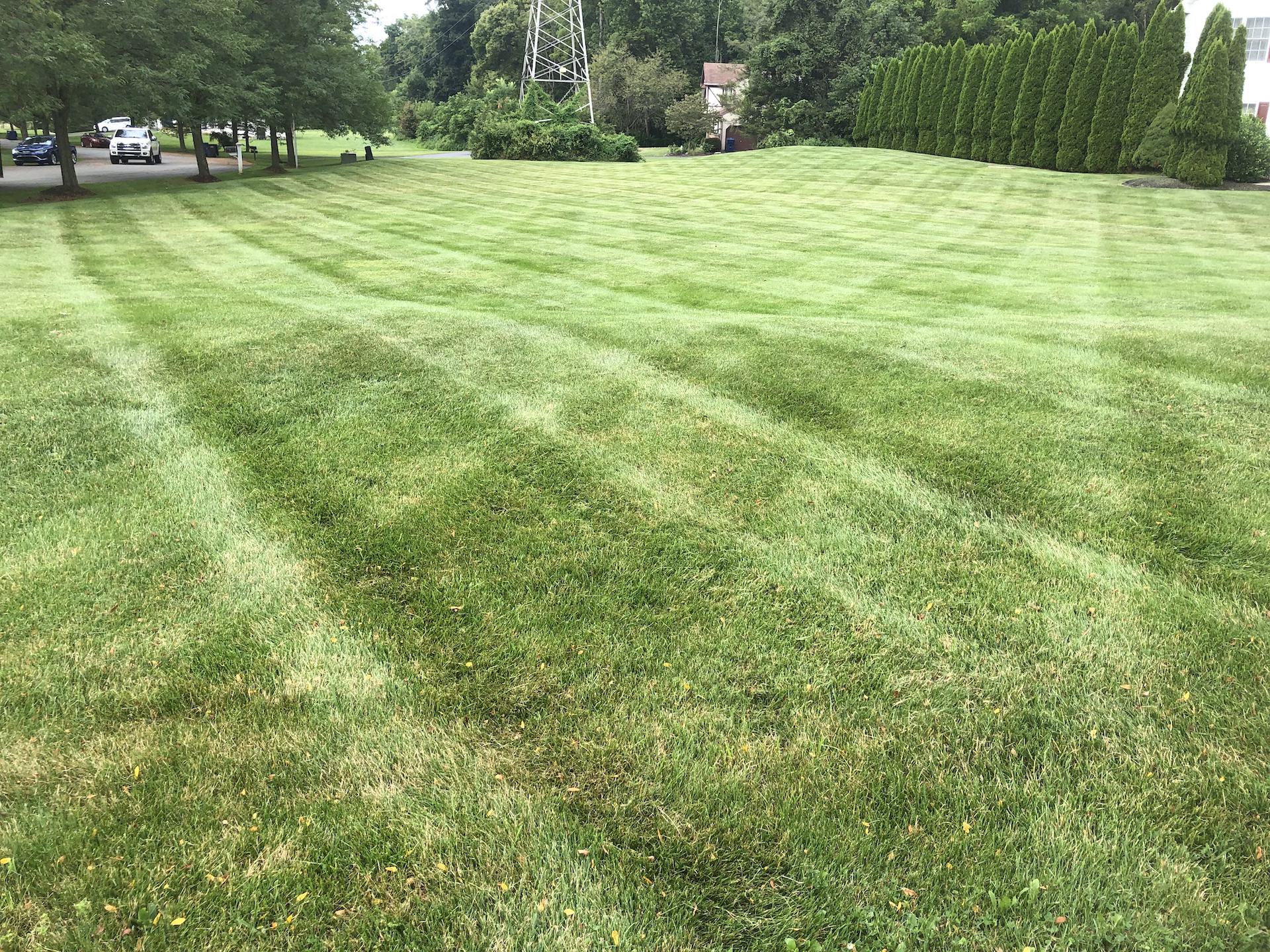 Large Lawn Stripes
